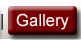 Gallery Collection